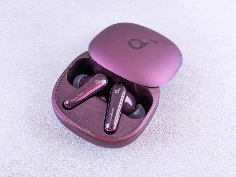 True Wireless Earbuds with Charging Case